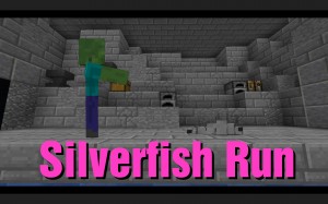Baixar Silverfish Run para Minecraft 1.13.1