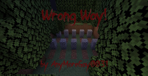 Baixar Wrong Way 1.0 para Minecraft 1.18.2