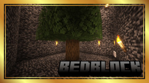 Baixar BedBlock para Minecraft 1.21.5